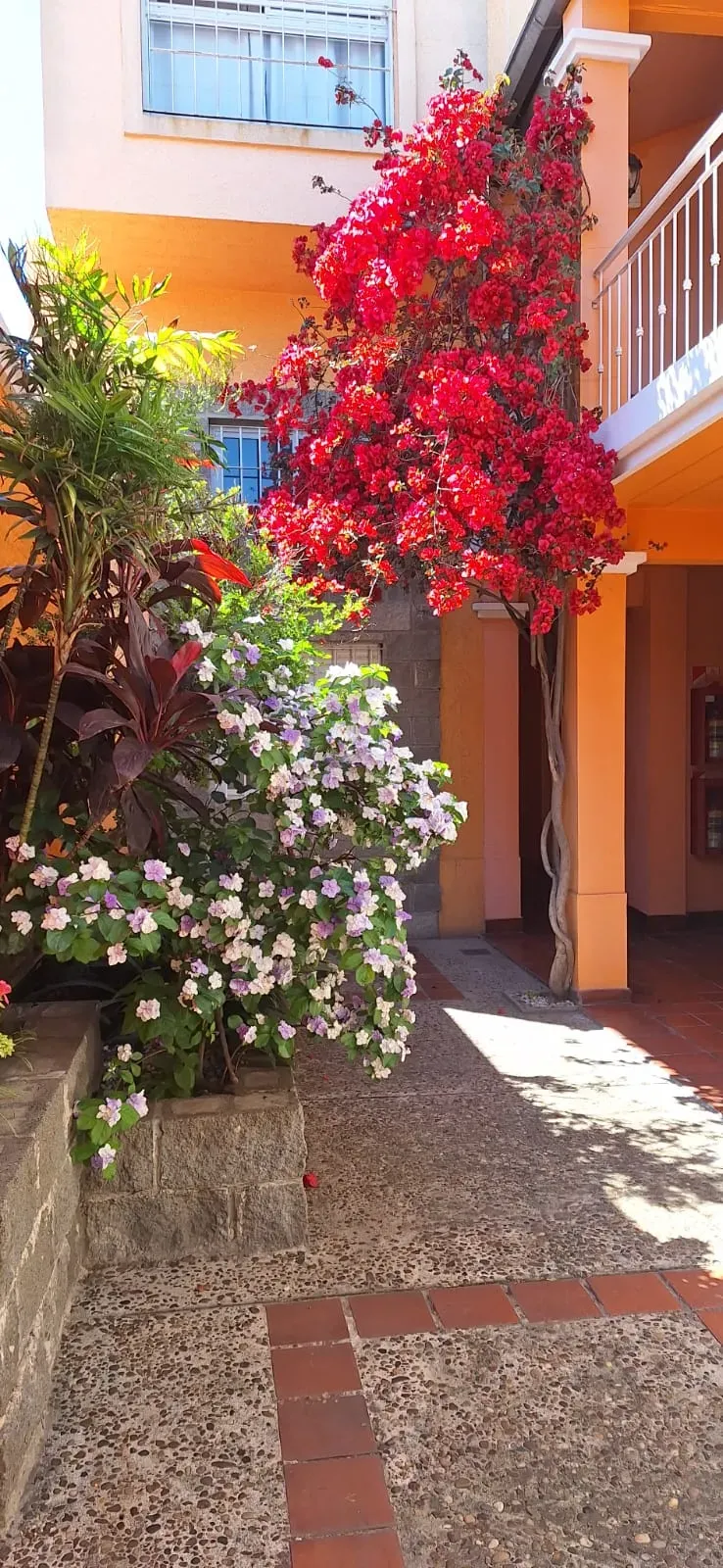 Espacio de Hotel El Patio 1
