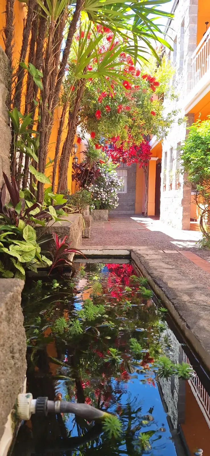 Espacio de Hotel El Patio 2