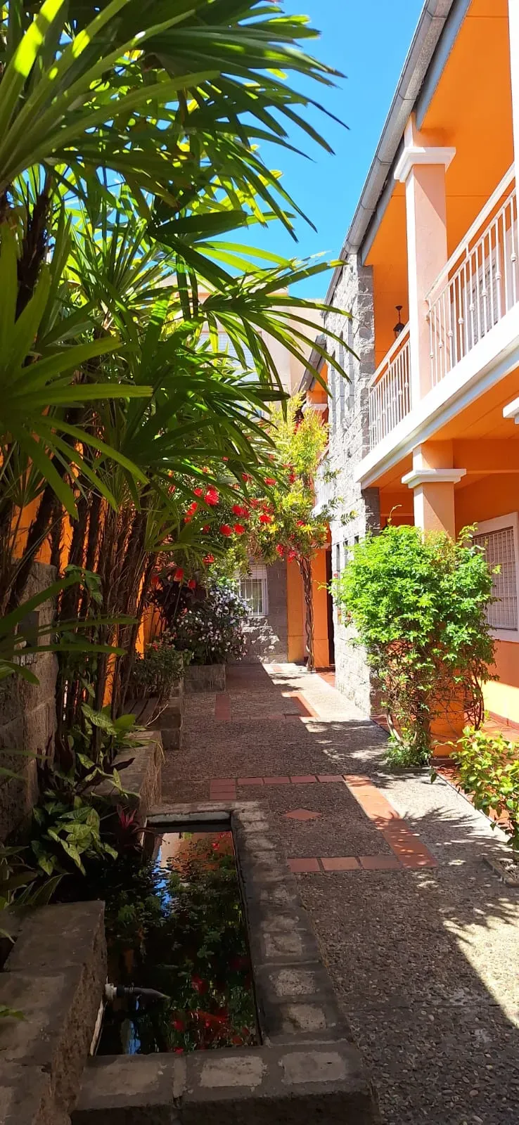 Espacio de Hotel El Patio 6
