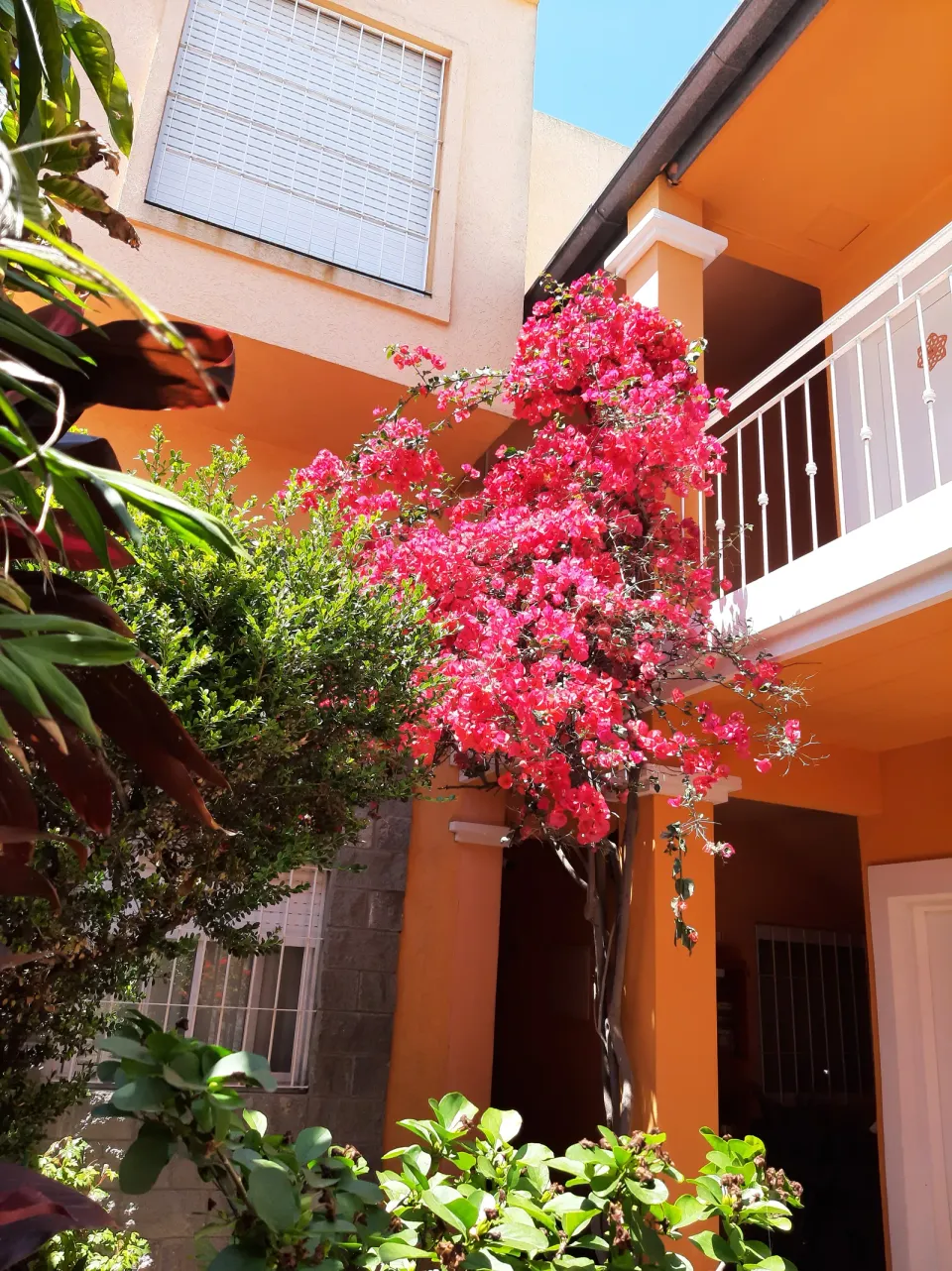 Hotel El Patio — nuestra historia